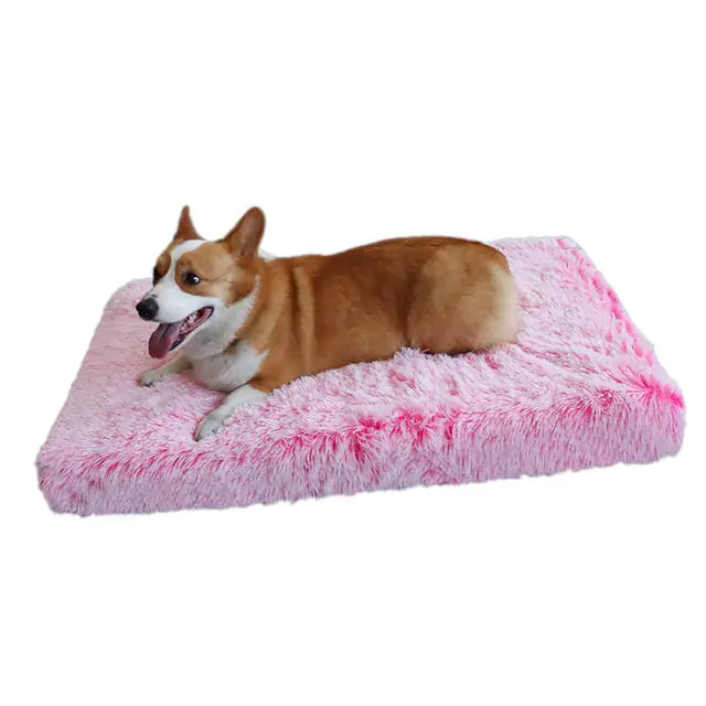 Plush Dog Bed