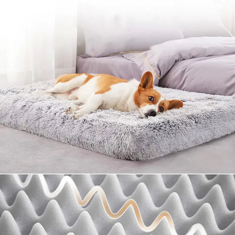 Plush Dog Bed