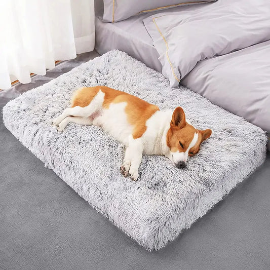 Plush Dog Bed