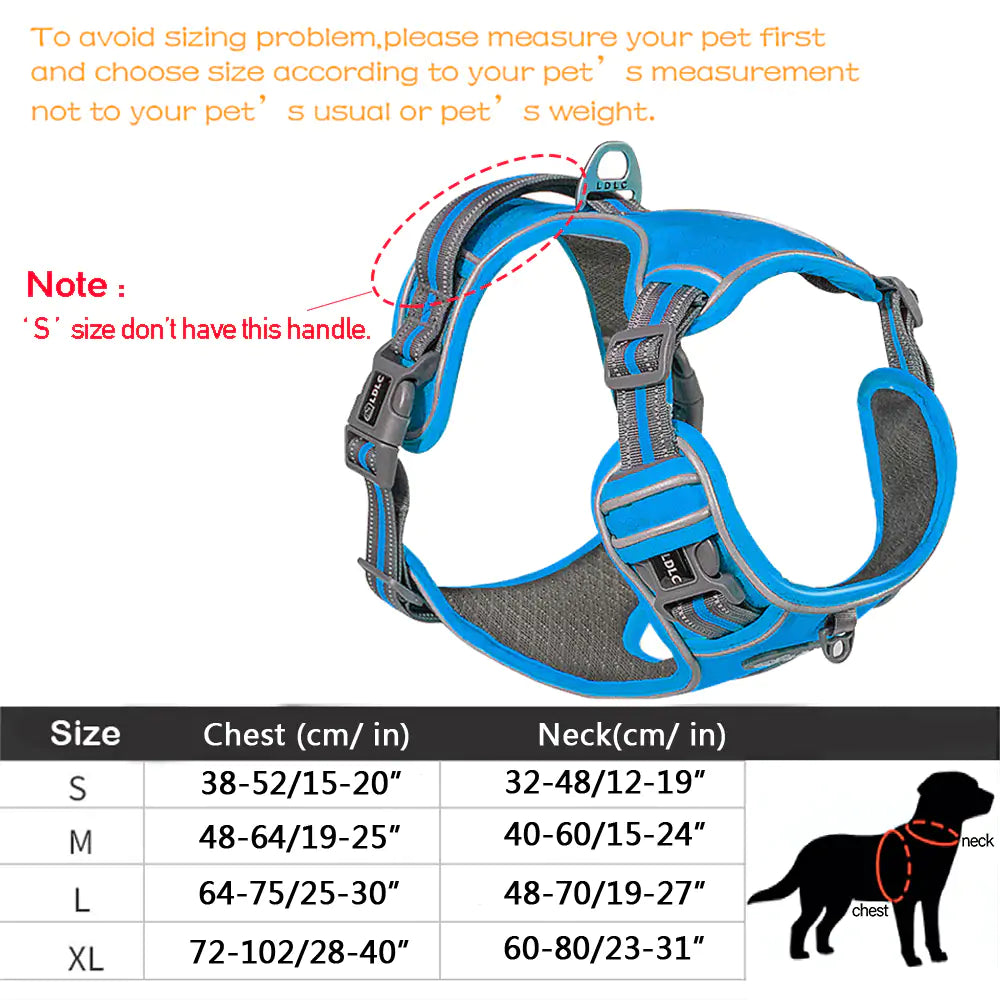 Minimalist Harness