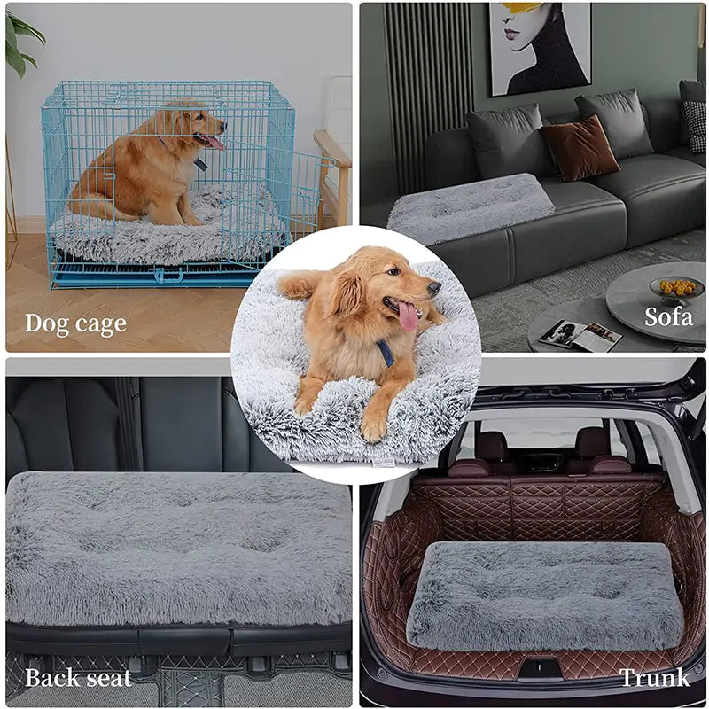 Plush Dog Bed