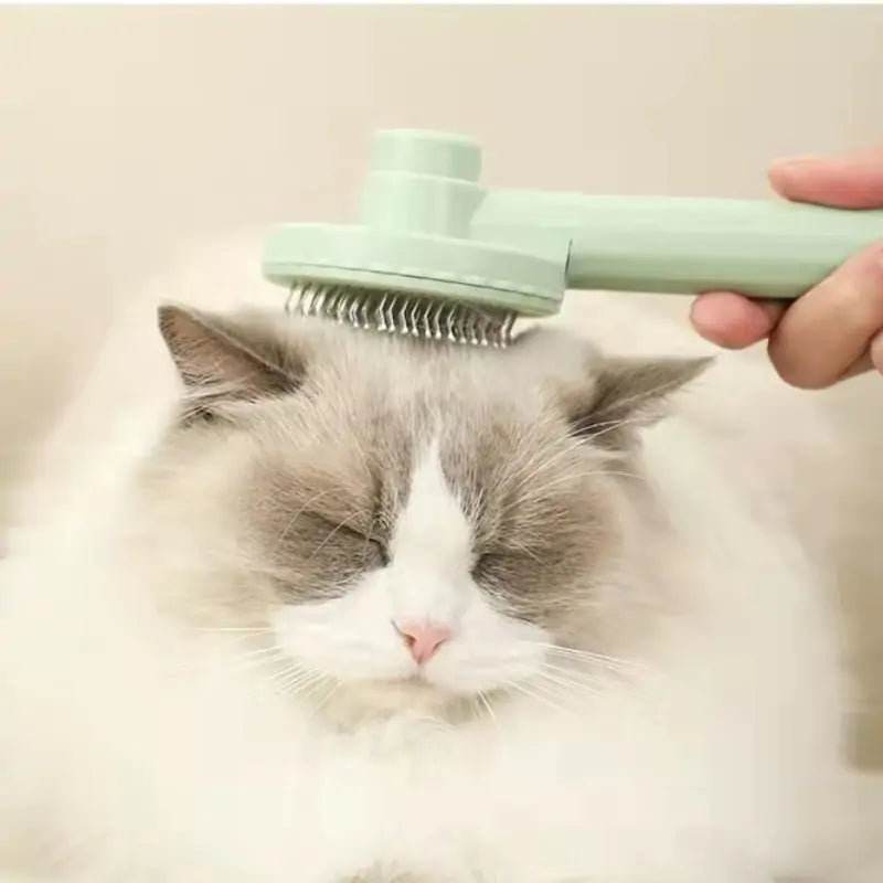 Pet Grooming Brush